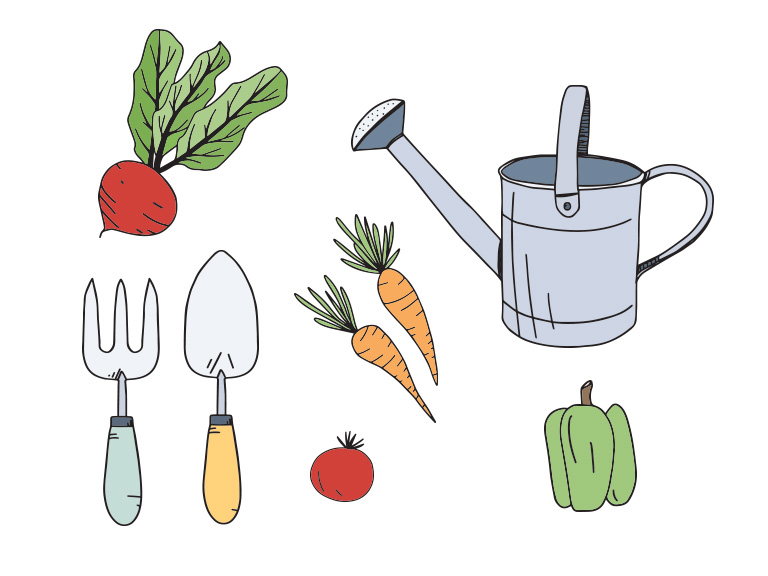 hand drawn custom illustrations of gardening tools and vegetables